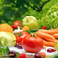 Fresh Vegetable Fresh Vegetable