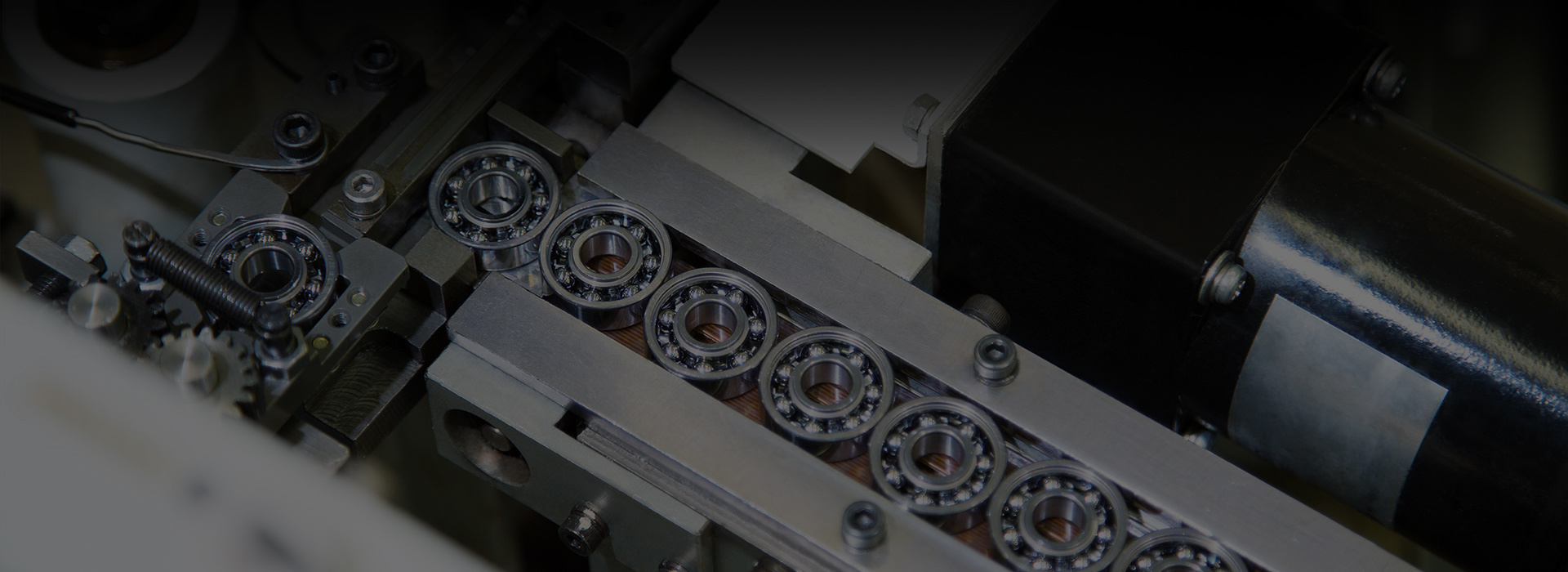 Services & Custom Solutions Services & Custom Solutions