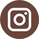 ins