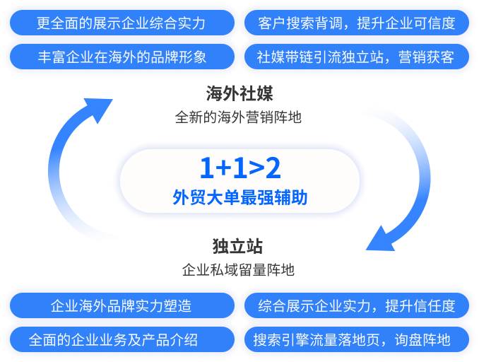社媒平台与独立站的双向增长 社媒平台与独立站的双向增长