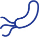 Parasite Series Parasite Series