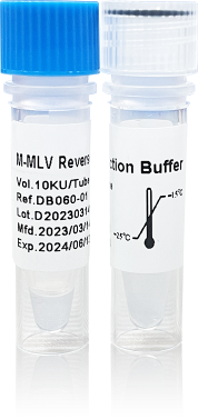 M-MLV Reverse Transcriptase M-MLV Reverse Transcriptase