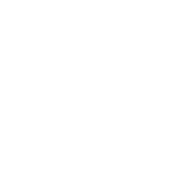 Insgram