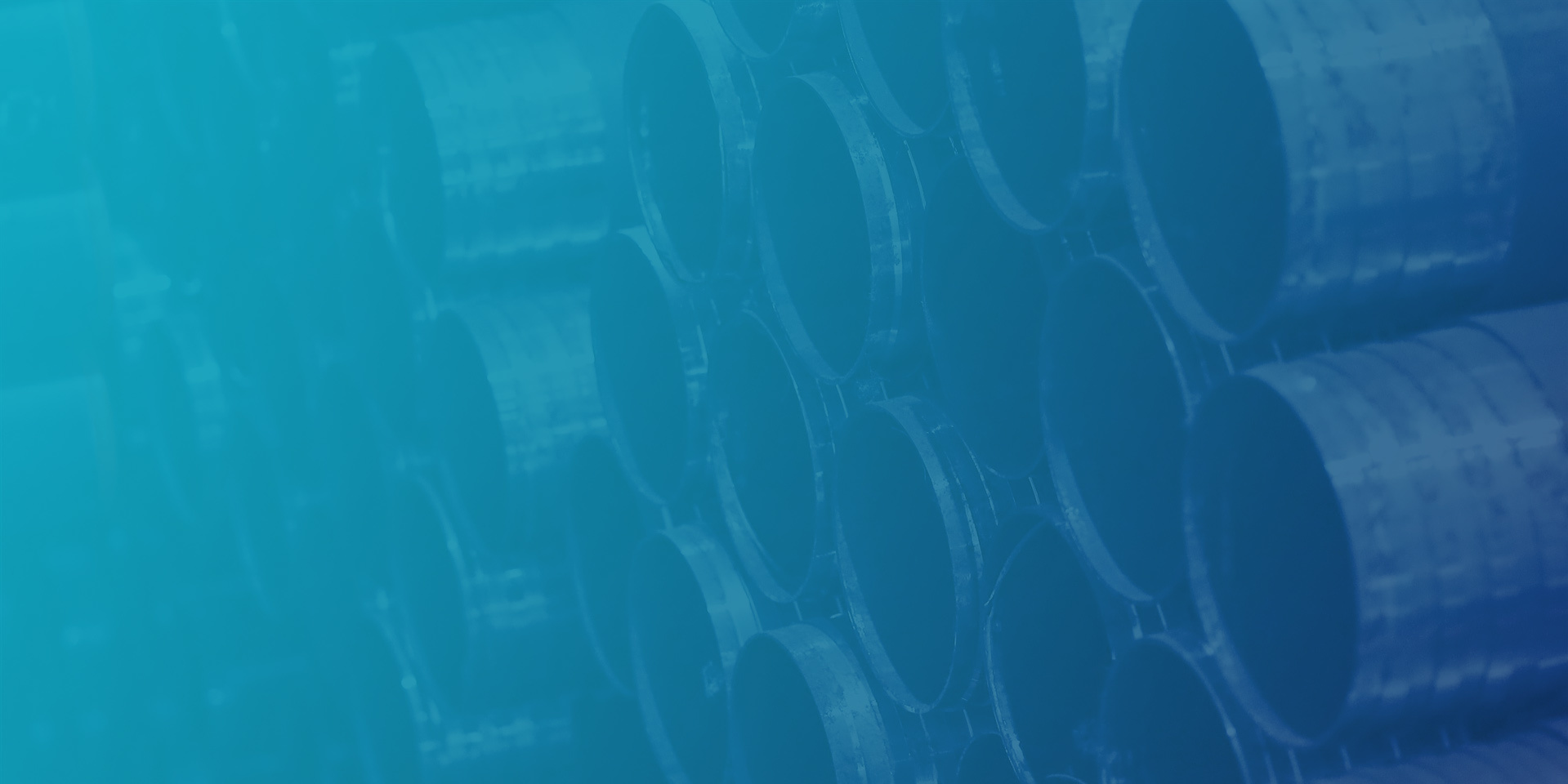 Services & Custom Solutions